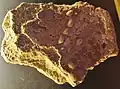 Fragment d'enduit peint avec incrustation de coquillages (villa de Kervenennec, probablement IIIe&nbsp;siècle après J.-C.).