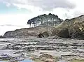 Les falaises entre la plage du Ris et celle de Trezmalaouen (vues de la plage découvrant seulement à marée basse) 3.