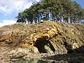 Les falaises entre la plage du Ris et celle de Trezmalaouen (vues de la plage découvrant seulement à marée basse) 6.