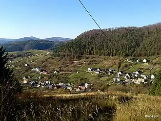 Čavoj