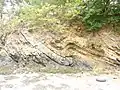Plis dans la falaise côté ouest de l'anse du Bourg.