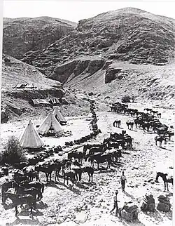 Cavaliers australiens dans la vallée du Jourdain, 22 août 1918.