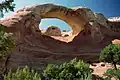 Cedar Tree Arch