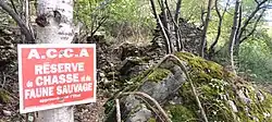 Photographie d'un panneau où on peut lire que la Réserve de Chasse et de Faune Sauvage est approuvée par l'État français, en rouge et blanc dans une forêt. Il est apposé sur un arbre au tronc blanc.