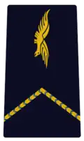 Élève-officier du personnel navigant uniquement porté par les élèves-officiers sous contrat pilotes ou navigateurs durant leurs cursus de formation. Statut : Sergent, Appellation : Mon Lieutenant.