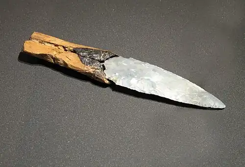 Couteau en silex daté de 2&nbsp;900&nbsp;ans av. J.-C. trouvé en 2003 à Allensbach en Allemagne, parmi les vestiges d'une habitation sur pilotis près du lac de Constance.