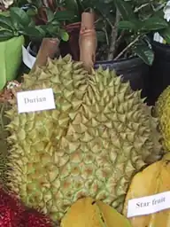 Description de cette image, également commentée ci-après