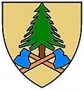 Blason de Bärnkopf