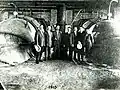 Inauguration d'une station de pompage, en 1915.