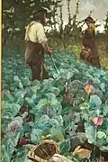 A Cabbage Garden, 1877.