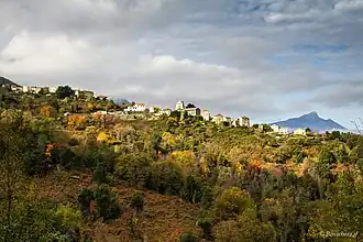 Novale