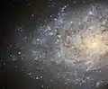 Autre version de NGC 7793 par le télescope spatial Hubble.