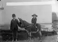 Garçon sur un âne, Pembroke 1885