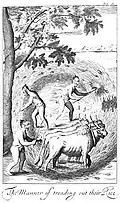 Le cycle agricole d'un agriculteur govigama. Illustration d'une édition de 1720.