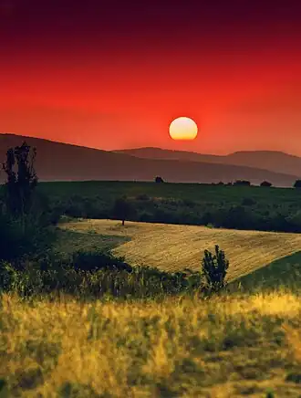 Taradža