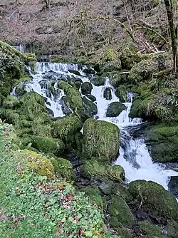 La cascade.
