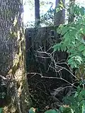 Abri situé dans un bosquet.