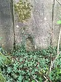 Face latérale munie d'une goulotte lance-grenades.