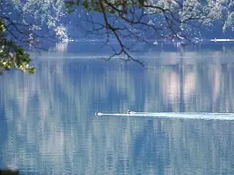 Image illustrative de l’article Lac Moquehue