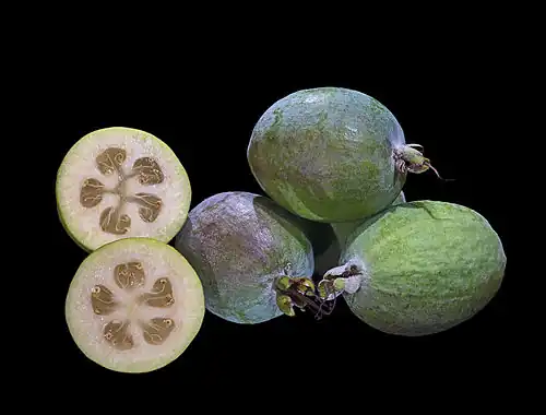 Fruits matures.