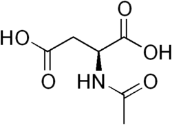 Image illustrative de l’article Acide N-acétylaspartique