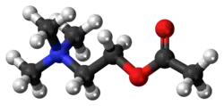 Image illustrative de l’article Acétylcholine