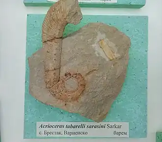 Description de cette image, également commentée ci-après