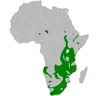 Description de l'image Acrocephalus gracilirostris distribution map.png.