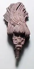 Fossile de thèque d'Actinocrinus.