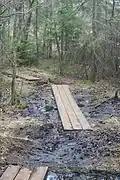 Sentier amménagé