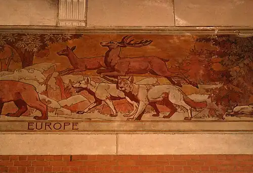 Europe.