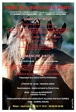 Affiche pour les journées du cheval corse, avec dates, programme et photo du cheval en arrière plan.