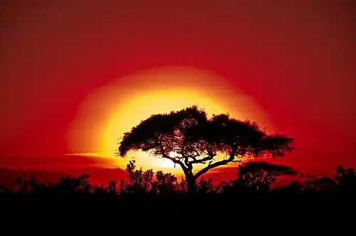  photographie d'un coucher de soleil