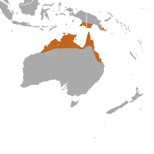 Description de l'image Agile Wallaby area.png.