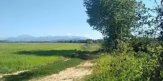 Bernareggio