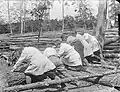 Membres du Women's Land Army Forestry Corps déplaçant un arbre tombé à terre.
