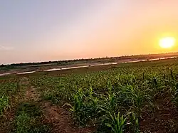 Agriculture