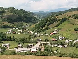 Târlișua