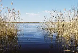 Võnnu (commune)
