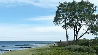 Ahrenshoop