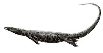 Vue d'artiste d'Aigialosaurus, un animal très proche de Carsosaurus.