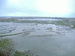 Les marais des Aiguamolls de l’Empordà.