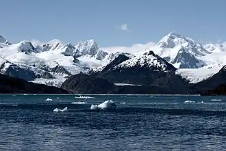 La baie Ainsworth et le glacier Marinelli.