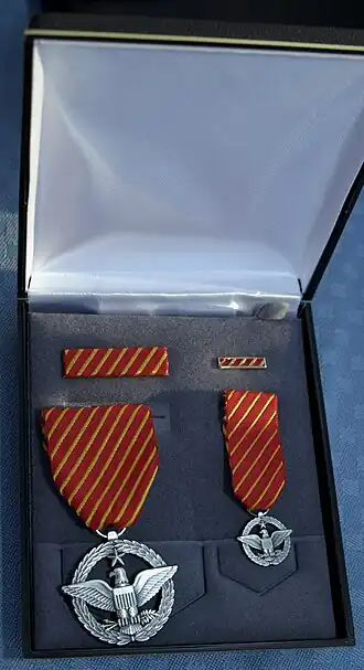 Air Force Combat Action Medal
