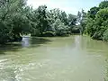 L'Aisne à Voncq.