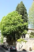 Une cour intérieure, sur les rues Cardinale et Mistral (2012)