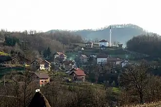 Ozimica