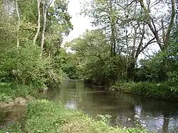 La Risle à Ajou.