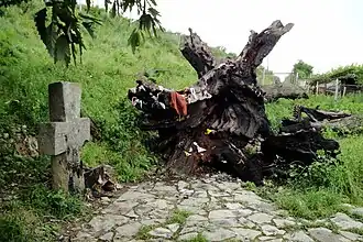 Aknaghbyur (Tavush)
