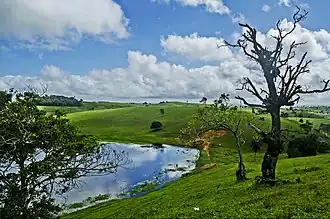 Alagoa Nova
